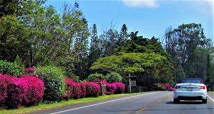 And community is our top priority. Travel In Hawaii Big Island Transportation