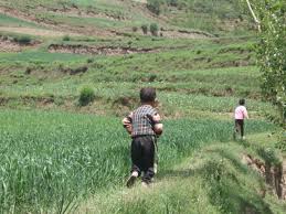 What is the summer latchkey program? Left Behind Children In China Wikipedia