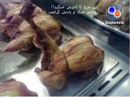 تصاویر خنده دار جدیدا!!!!!! 1