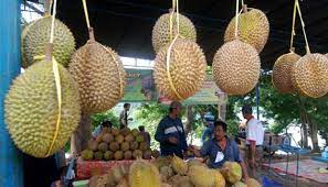Sebiji pun in sha allah, abang akan rasa. Makan Durian Sampai Puas Cuma Rp 50 Ribu Datang Ke Festival Ini Travel Tempo Co