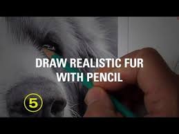 A graphite drawing demonstration showing how to texture and draw fur. Youtube Color Pencil Drawing Animal Drawings Pencil Drawing Tutorials