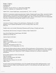 cashier resume sample no experience