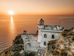 Image result for Faroa pusilla