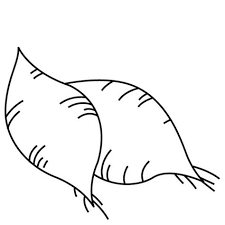 Online printable coloring sheets even if can be speedily delivered at the reception desk. Sweet Potato Coloring Pages Learny Kids