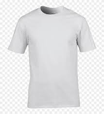 Plain background texture white backgrounds pattern textured nature green. Companie Balena Baleen Simplitate T Shirt Transparent Background Technicongroup Com