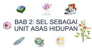 Benda hidup terdiri daripada unit asas yang dikenali sebagai sel. Sains Bab 2 Sel Sebagai Unit Asas Kehidupan 2 1 Youtube