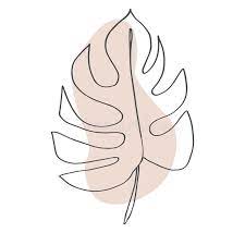 Minimalist one line art, neutral aesthetic, simple line art posters, living room wall art, boho wall decor, face line art, abstract minimal. Contour Line Drawing Leaf Of Monstera Modern Minimalism Art Aesthetic Cont Stock Vector Illustration Of Artwork Aesthetic 152234076