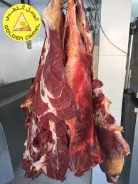 I'd like them to come into the yard like this and be sold as meat or riding camels, he says. Desert Camel Foodstuff Trading On Twitter Fresh Camel Meat Low In Cholesterol Low In Fat And High In Protein For Your Inquiries Reach Us 042500084 Https T Co Y4wuorcaj5