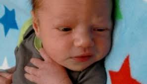 Oswego County TodayDawson Daniel Springer