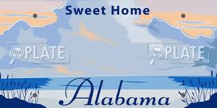 Florida license plate at alibaba.com make the mundane nature of driving that much more exciting. License Plate Designs In Usa