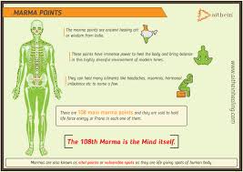 marma points an introduction aithein healing