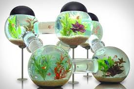 Aquarium unik dari jam rusak. 10 Desain Aquarium Unik Untuk Hiasan Rumah Minimalis