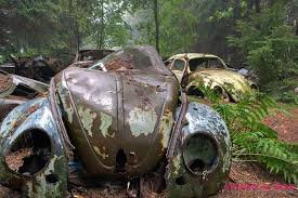 Ein Autofriedhof In Chatillon Belgien Gibt Es Einen Verlassenen Schrottplatz Der Seit Einigen Jahren Durch Den Wald Und Die Friedhof Schrottauto Alte Autos