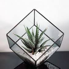 Geometric Cube Glass Terrarium Succulents Decor Air Plant Terrarium Terrariums Kits