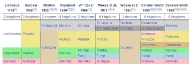 Kingdom Definition History Of Kingdom