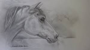 Paardenhoofd Voor Beginners Grafiet Tekening Youtube