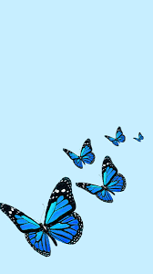 Blue Butterfly Wallpaper Original Blue Butterfly Wallpaper Butterfly Wallpaper Iphone Butterfly Wallpaper 24,000+ vectors, stock photos & psd files. blue butterfly wallpaper original