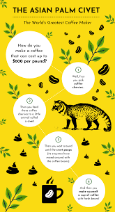 From Fun To Bizarre Facts Customize This Animal Facts Infographic Template For A Creative Design Animal F In 2020 Animal Facts Fun Facts About Animals Infographic