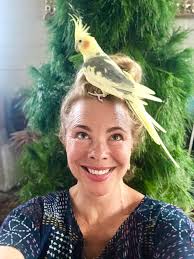 RIP Kowhai 💛 Our beloved cockatiel who made it to the grand old age of  17ish. Part of our whanau and my little muse