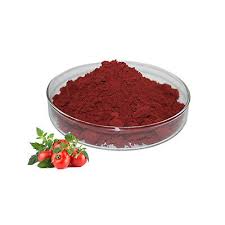 Natural Lycopene 10% Tomato wepụ ntụ ntụ PREMIUM Antioxidant High Quality | eBay