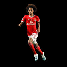 Tomás tavares is a product of benfica youth academy, which produced many talented footballers in recent years such as rúben dias, ferro, gedson fernandes, florentino, joão félix and nuno tavares. Tomas Tavares Soccer Wiki For The Fans By The Fans