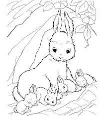 These colouring sheet are very good for keeping your children involved. A Rabbit Who Was Protecting His Son Coloring Pages Bunny Coloring Pages Fox Coloring Page Horse Coloring Pages