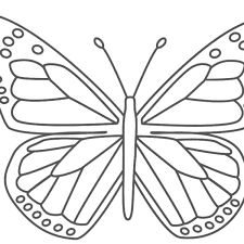 Monarch Butterfly Template Printable World Of Printable And Chart With Regard To Monarch Butte Butterfly Template Butterfly Printable Butterfly Coloring Page