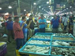 Undoubtedly, fiona is no longer a strange brand or name to many visitors. Portal Rasmi Nekmat