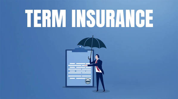 Top 7 Term Insurance Plans in India 2026