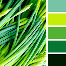 Maybe you would like to learn more about one of these? What Is The Right Combination Of Colors To Get An Apple Green Mix Quora
