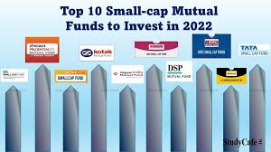 Top Stock Holdings Of Small Cap Mutual Funds - Pa Wealth