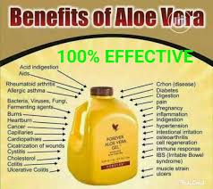 Produk penjagaan muka (skin care) forever living mengandungi bahan utama iaitu aloe vera yang distabilkan. Atsaukti Neaktyvus Nepaprastumas Forever Living Gel Aloe Vera Yenanchen Com