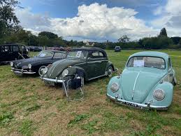 Image result for Medium Green 1952 Beetle