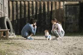 Teljes film magyarul kutyabajnok 2002, film magyarul online kutyabajnok 2002, kutyabajnok 2002 film magyarul online, kutyabajnok 2002 nézni az interneten teljes streaming. Film Kotyagos Bokszolom Artmozi Hu