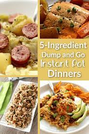 5 Ingredient Dump And Go Instant Pot Dinners 365 Days Of Slow Cooking And Pressure Cooking Instant Pot Dinner Recipes Easy Instant Pot Recipes Easy Cooking Recipes