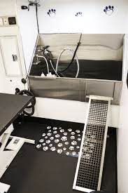Check spelling or type a new query. Mobile Pet Groomer Serving All Temecula Valley Dog Grooming Salons Dog Grooming Shop Pet Groomers