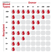 ubc researchers have found a way to convert any blood type