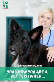 We value excellent academic writing and strive to provide outstanding essay writing service each and every time you place an order. 310 Veterinary Graduation Gifts Ideas Veterinary Technician Veterinary Nursing Students