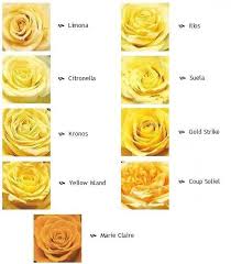 Pin By Deborah La Valla On What A Variety Rose Varieties Colorful Wedding Flowers Inexpensive Wedding Flowers