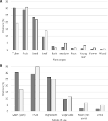 Image result for Trachyphrynium braunianum