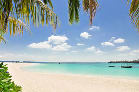 Beach Resort Maldives Overwater Villas Beach Wallpaper Backgrounds Free Background