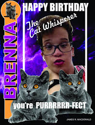 NJOZI SUBLIME AND PRECIOUS FEMALE CHEETAH AND HER FAMILY THESE CATS ARE THE  LOVE OF MY LIFE STAY SAFE SOON YOU ARE BIG CHEETAHS I LOVE YOU CHEETAH FOR  LIFE