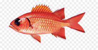 Lihat juga resep pesmol nila dan acar sayuran enak lainnya. Fish Cartoon