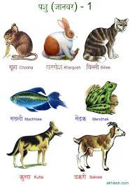Pin On Hindi