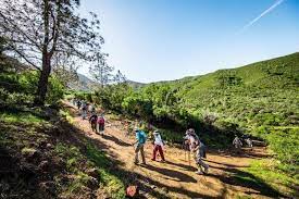 Mount Diablo Hiking Trails An Insider's Guide To Mount Diablo: Hike, Bike & Camp At Mount Diablo -  Visit Concord