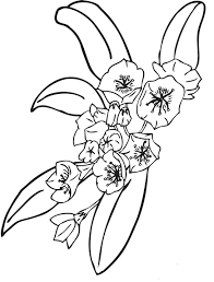To print the coloring page: Free Printable Flower Coloring Pages For Kids Best Coloring Pages For Kids