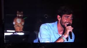 The song was written by soler, ali zuckowski, jakke erixson, rabitt and simon triebel. Alvaro Soler Beim Donauinselfest 2019 Youtube