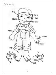 Learn the human body and face parts names in english with the help of the youngest grammarbank team member. Pin On Worksheets For Kids