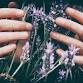 Desert Sage Herbs - Herbs for ADHD, Cognition and Focus
