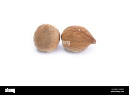 Image result for Terminalia bellirica